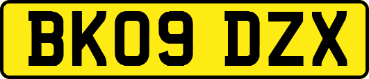 BK09DZX