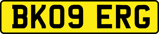 BK09ERG