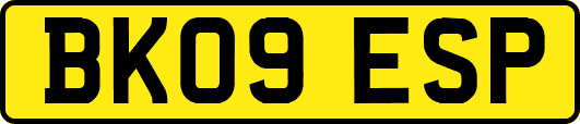 BK09ESP