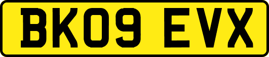BK09EVX