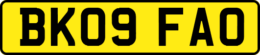 BK09FAO