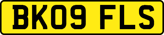 BK09FLS