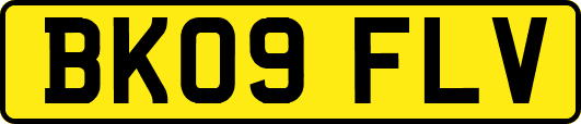 BK09FLV
