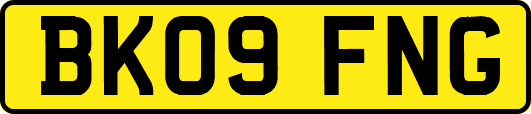 BK09FNG