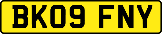BK09FNY