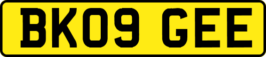 BK09GEE