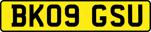 BK09GSU