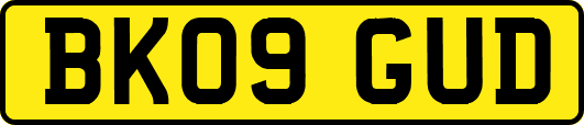 BK09GUD