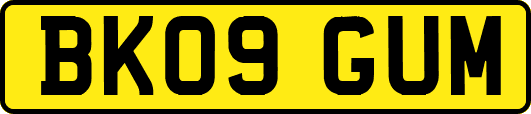 BK09GUM