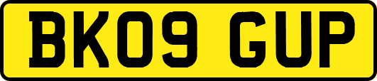 BK09GUP