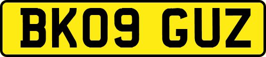 BK09GUZ