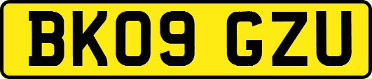 BK09GZU