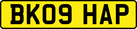 BK09HAP