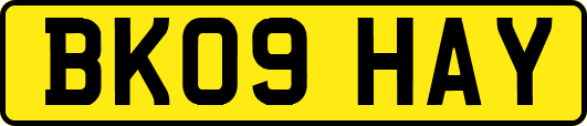 BK09HAY