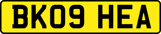 BK09HEA