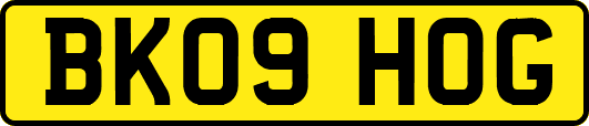 BK09HOG