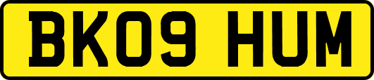 BK09HUM
