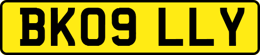 BK09LLY