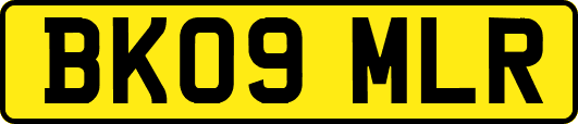 BK09MLR