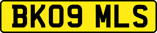 BK09MLS