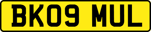 BK09MUL