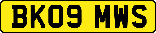 BK09MWS