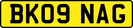 BK09NAG