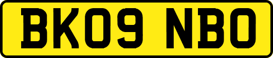 BK09NBO