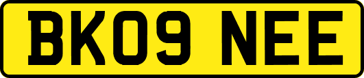 BK09NEE