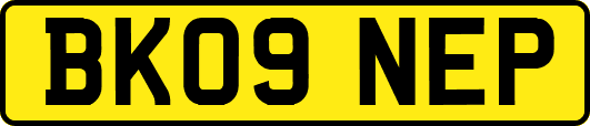 BK09NEP