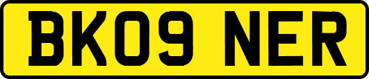 BK09NER