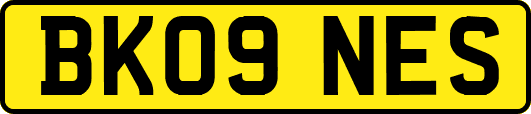BK09NES