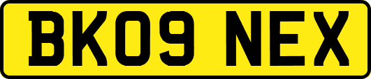 BK09NEX