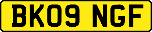 BK09NGF