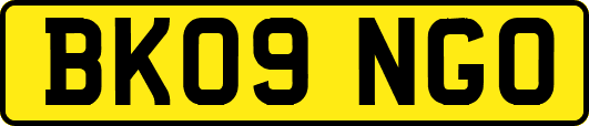 BK09NGO