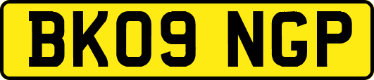 BK09NGP