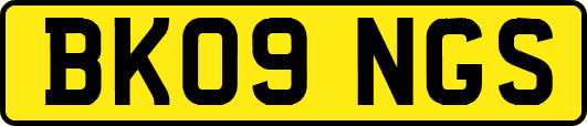 BK09NGS