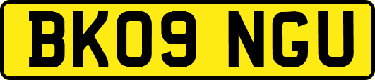 BK09NGU