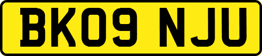 BK09NJU