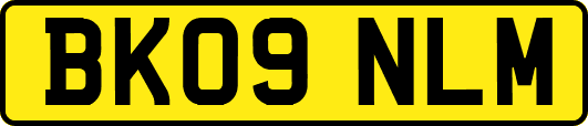 BK09NLM