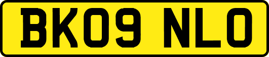 BK09NLO
