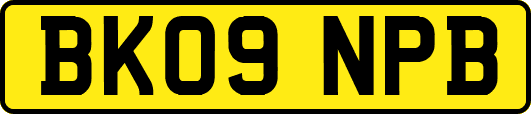 BK09NPB