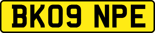BK09NPE
