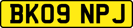 BK09NPJ