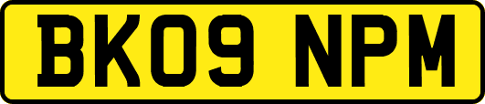 BK09NPM