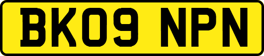 BK09NPN