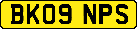 BK09NPS