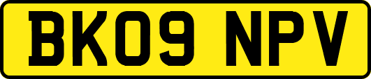 BK09NPV