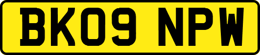BK09NPW