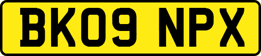 BK09NPX